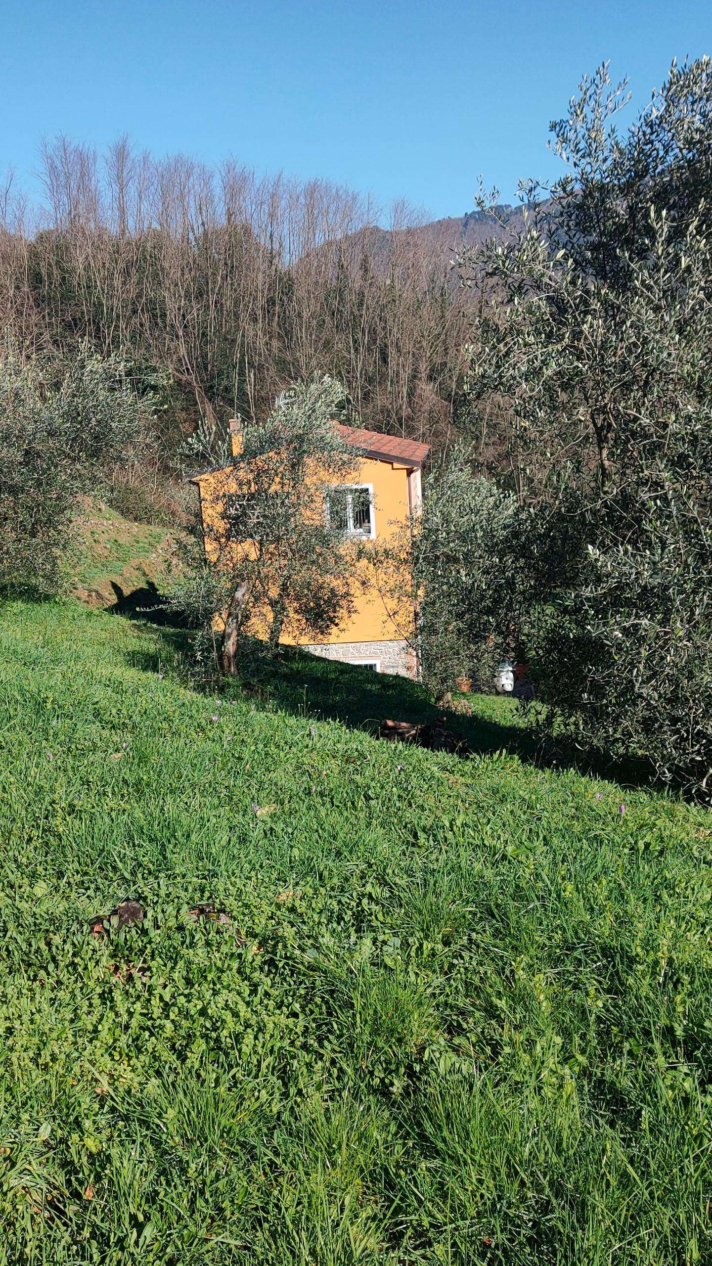  - foto 31