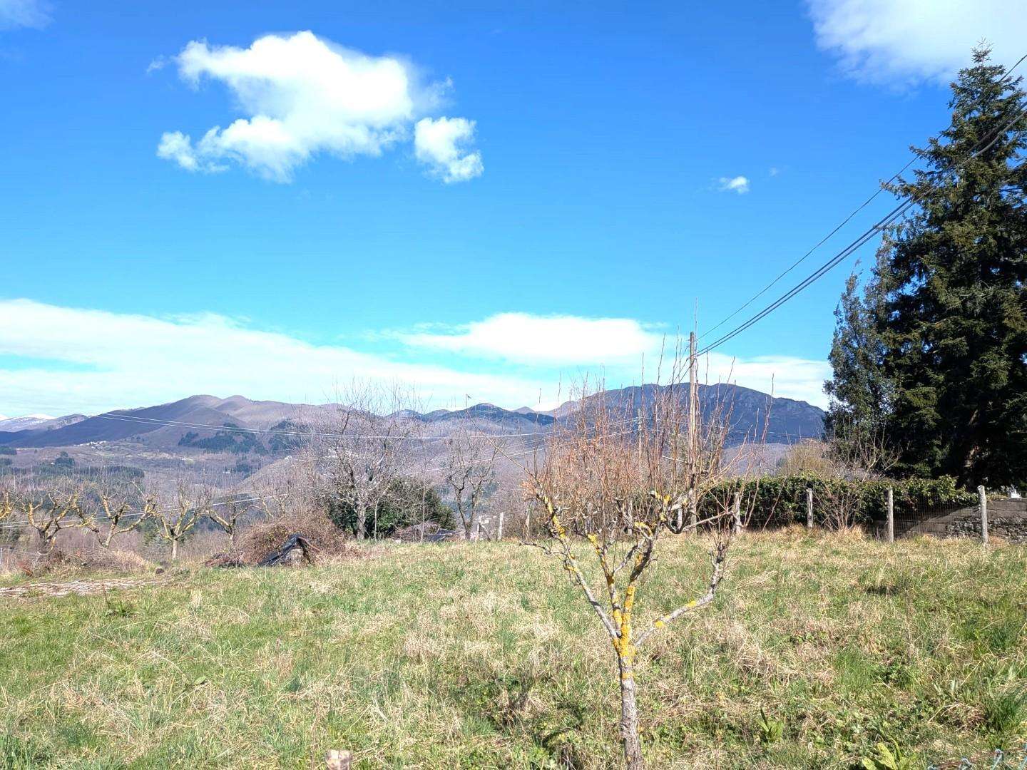 - foto 31
