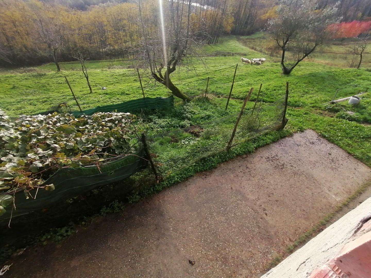  - foto 15