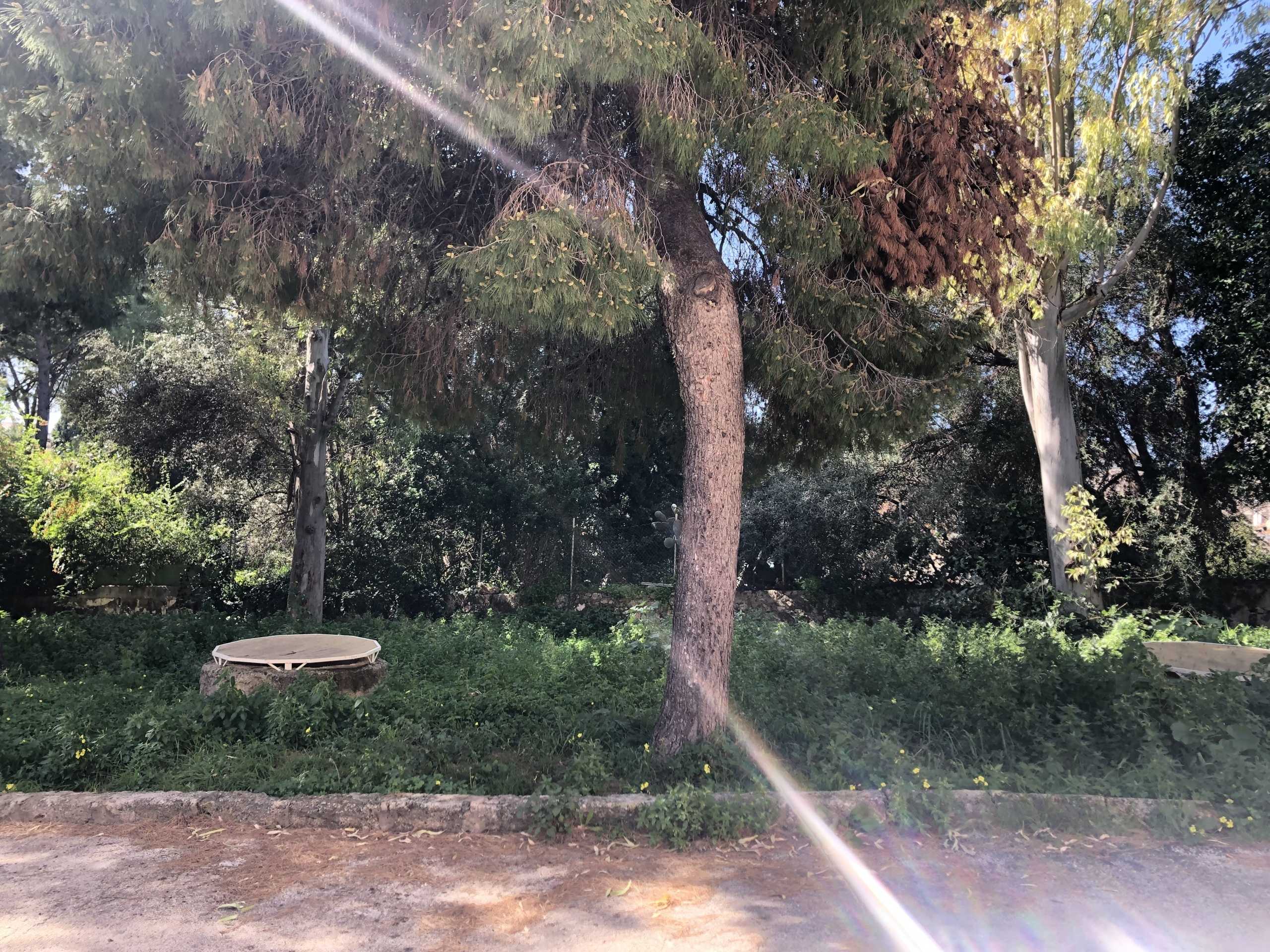  - foto 4