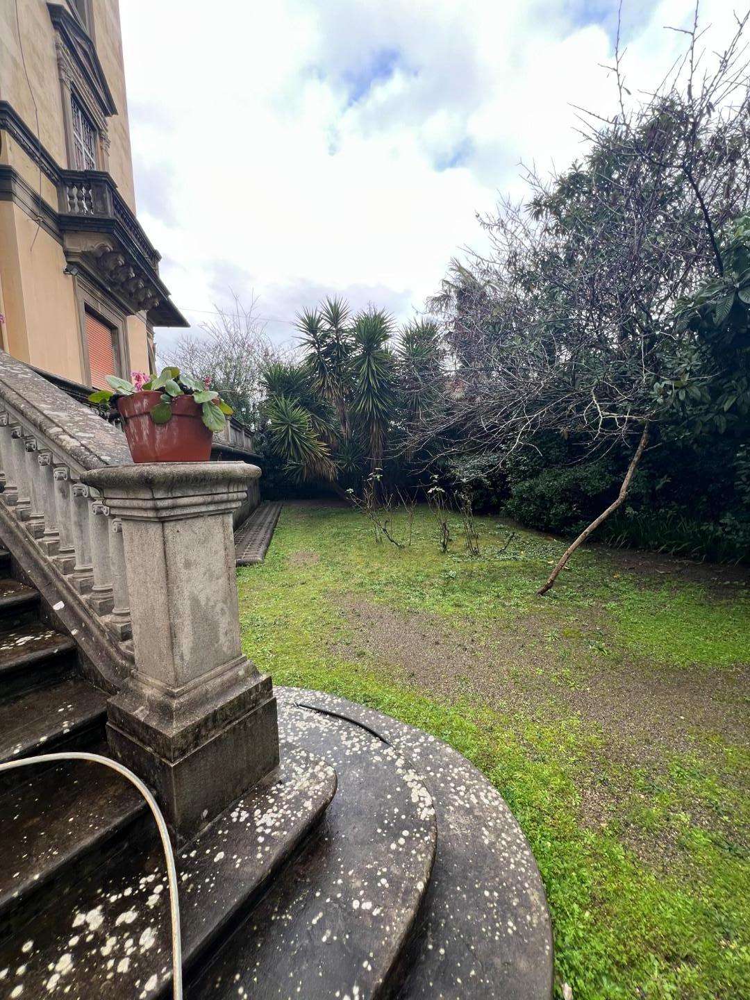  - foto 39