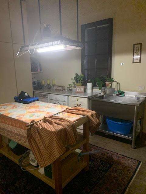  - foto 12