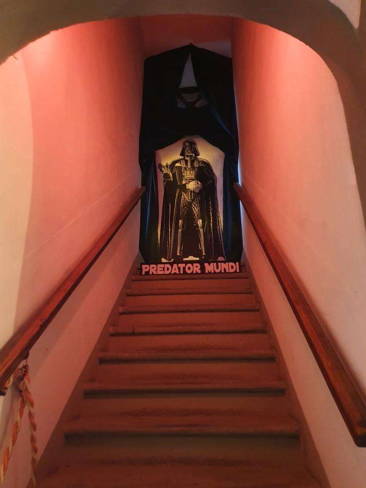  - foto 17