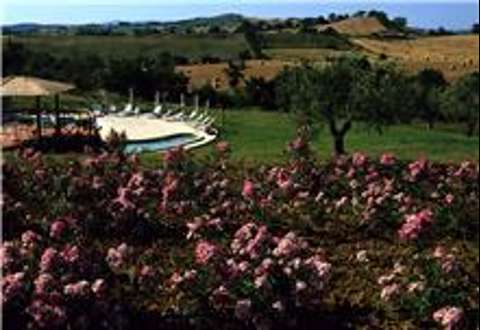 Terreno agricolo Grosseto GR,, Grosseto