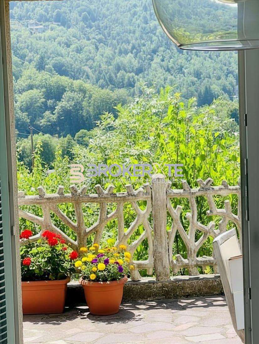  - foto 17