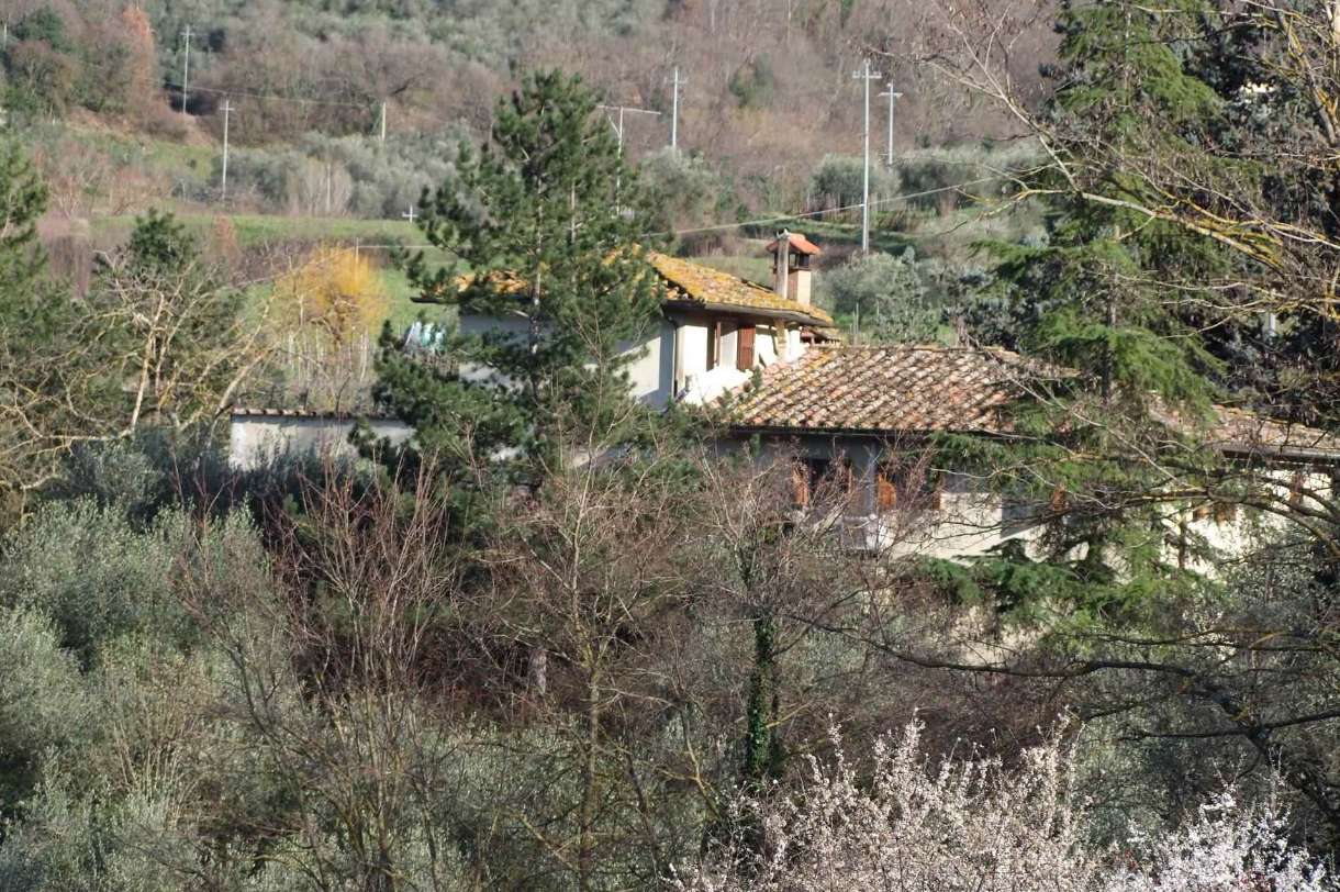  - foto 31
