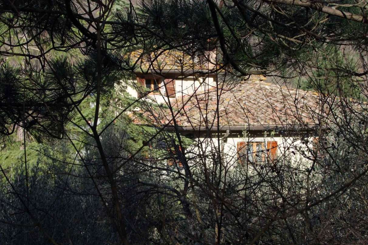  - foto 35