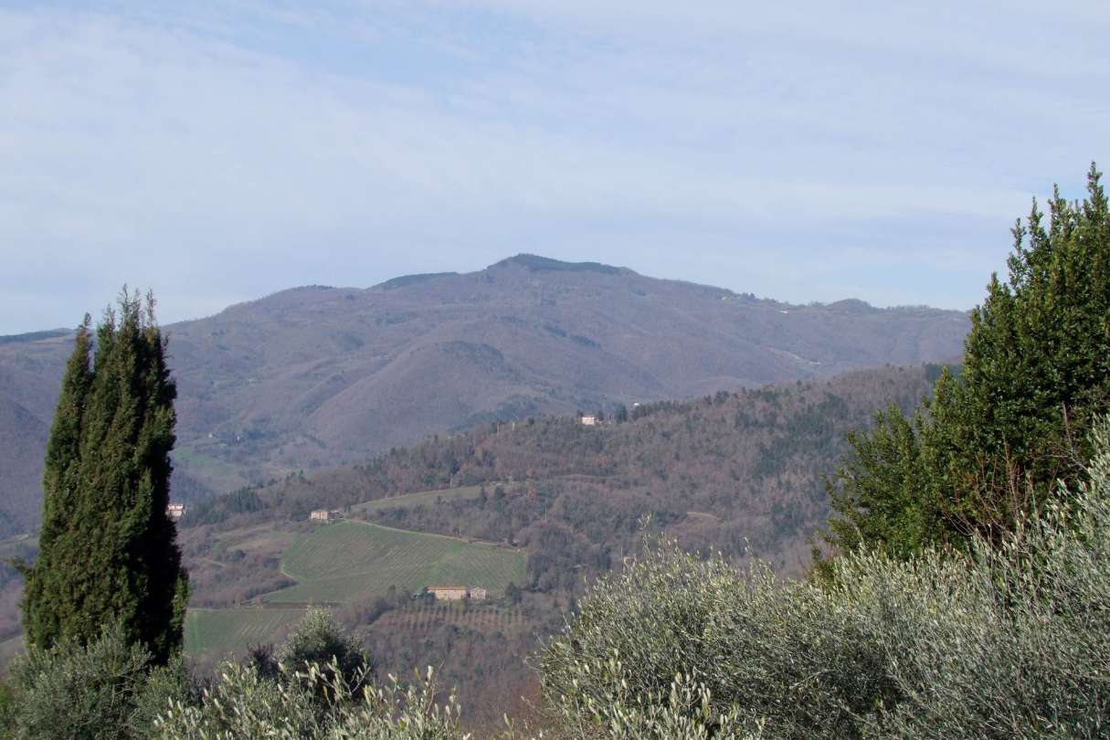  - foto 30