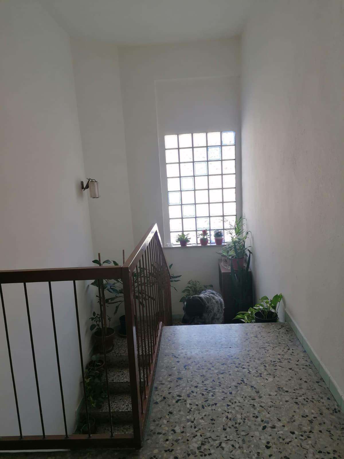  - foto 14
