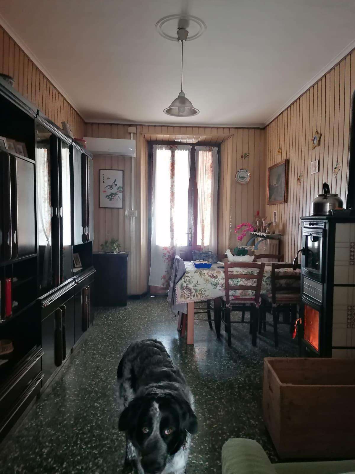  - foto 9