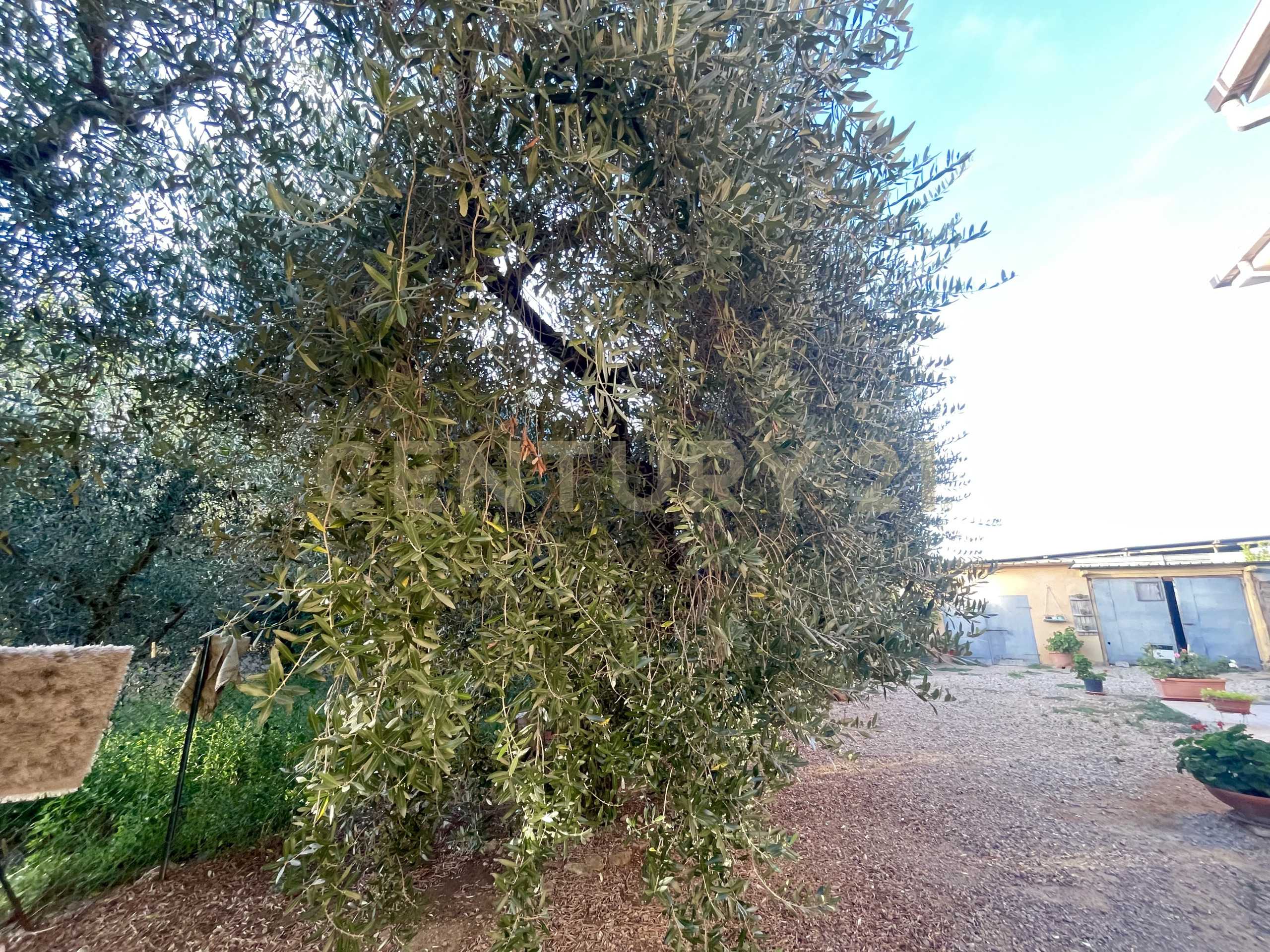  - foto 15