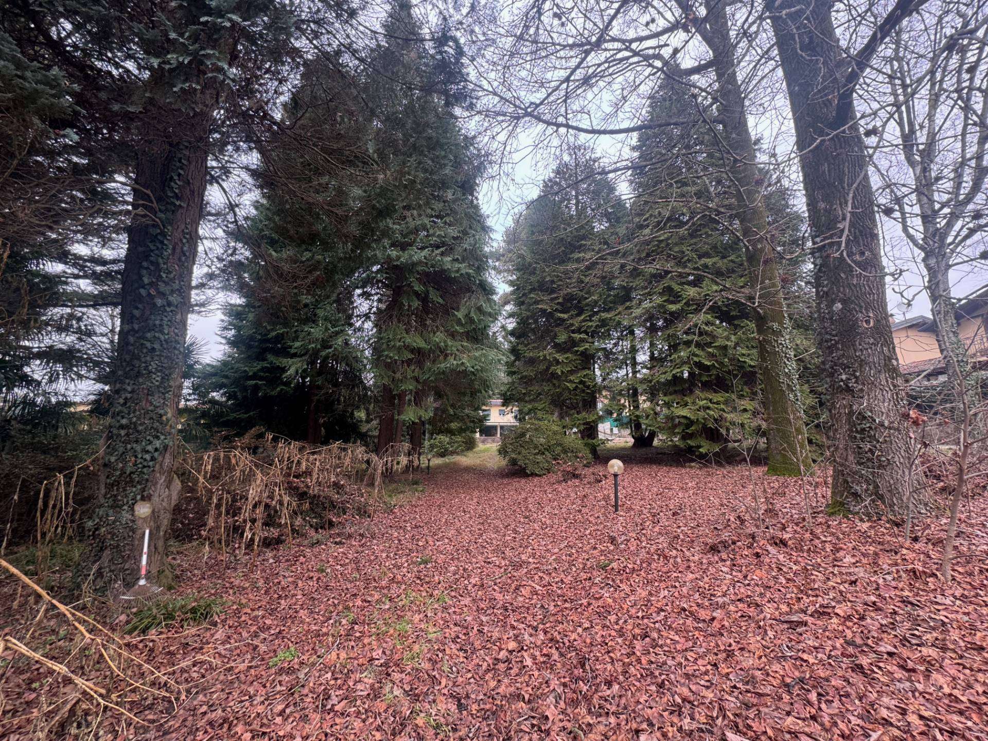  - foto 14