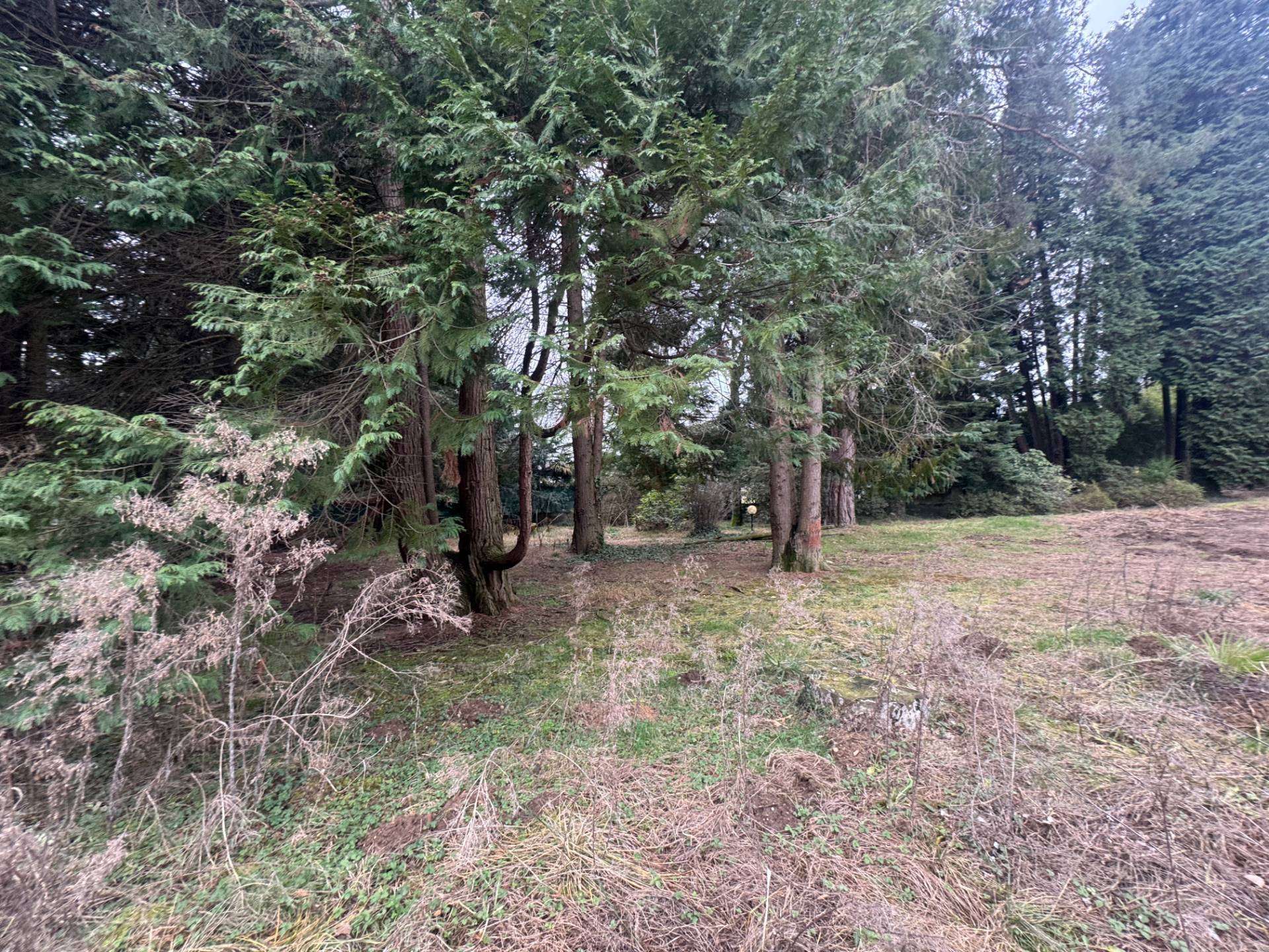  - foto 19