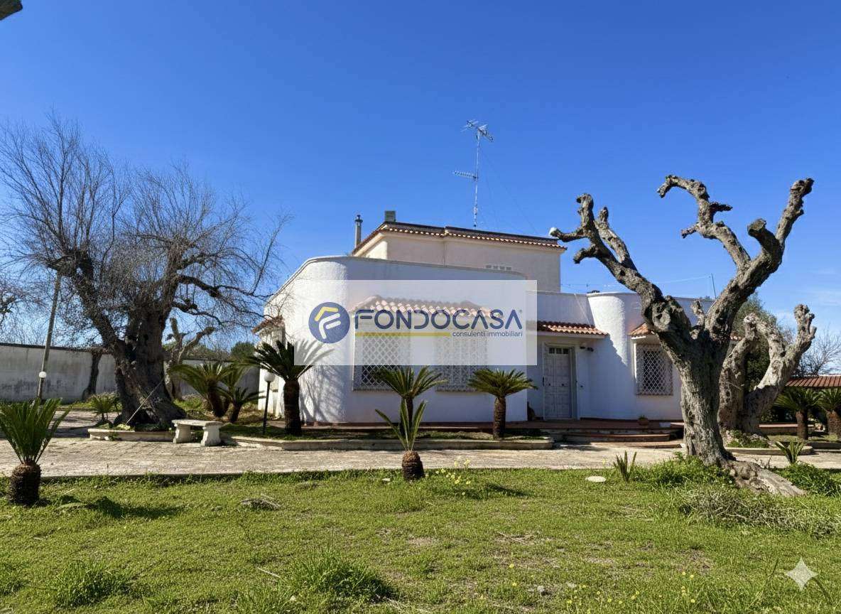 - foto 4