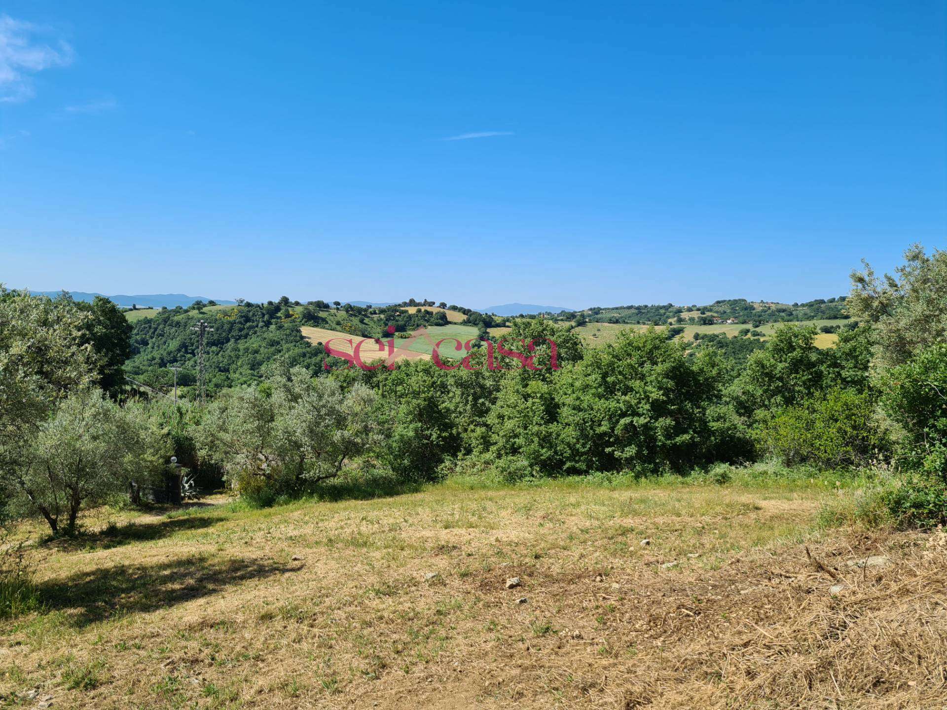  - foto 14