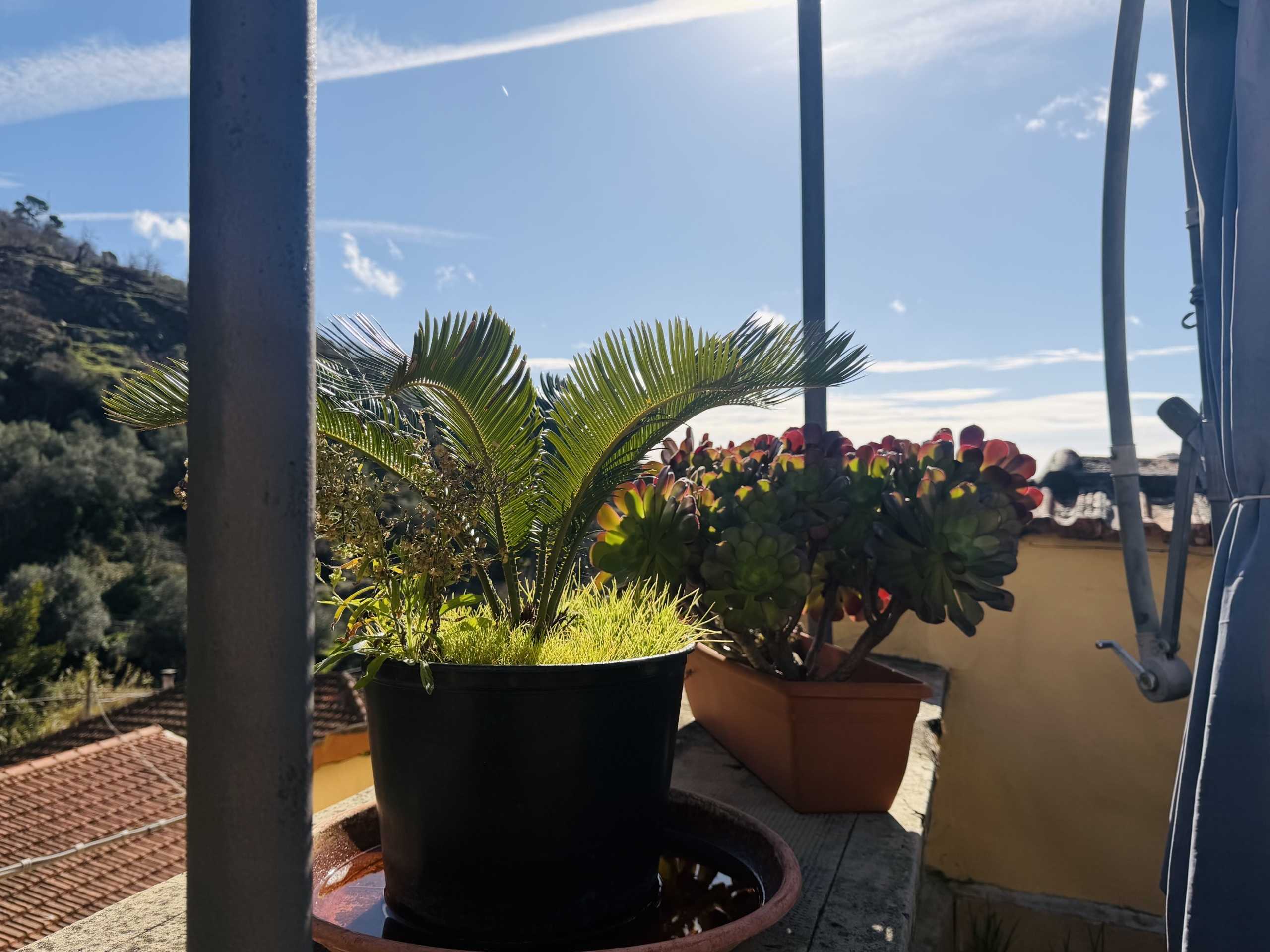  - foto 16