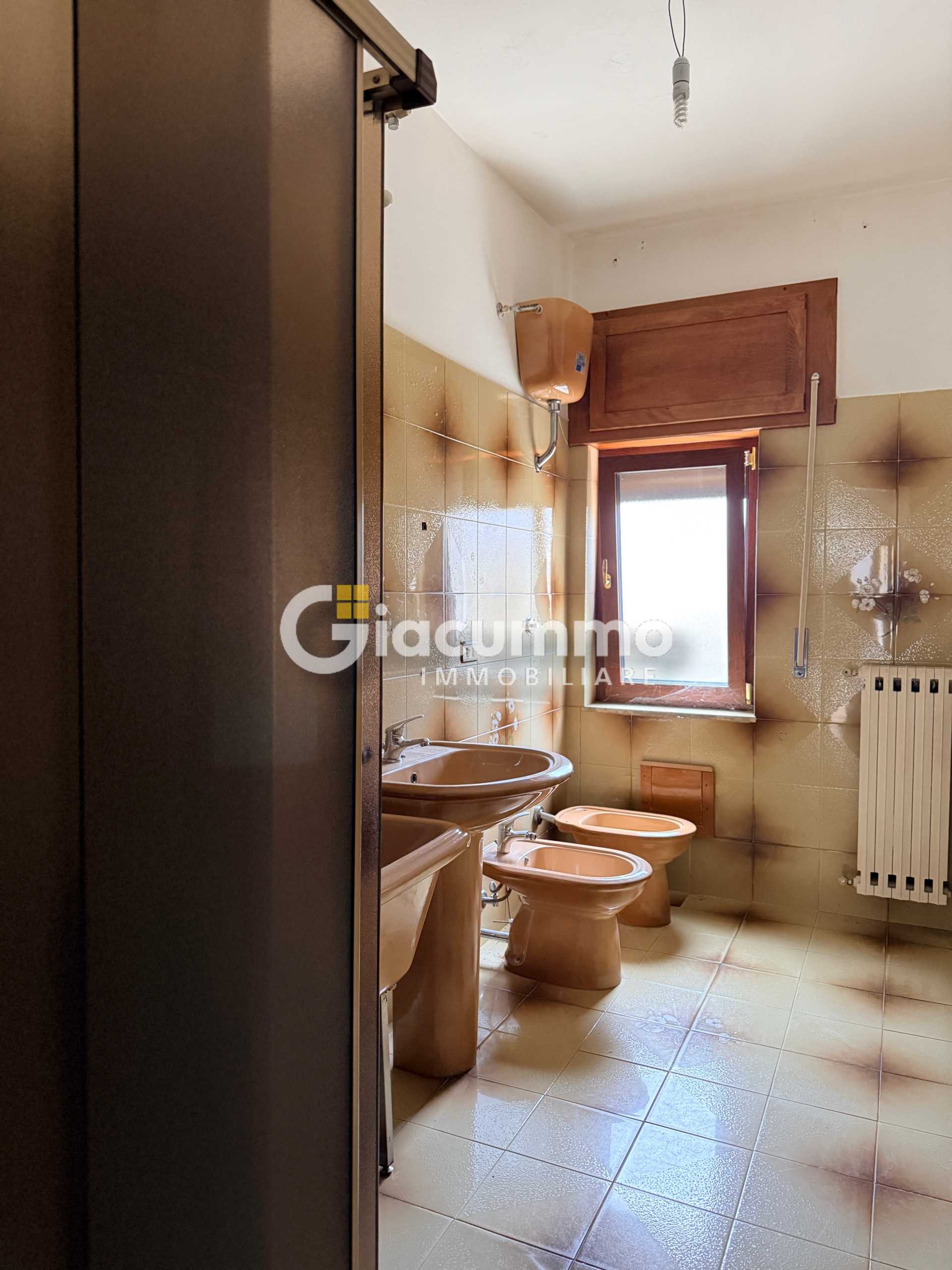  - foto 43