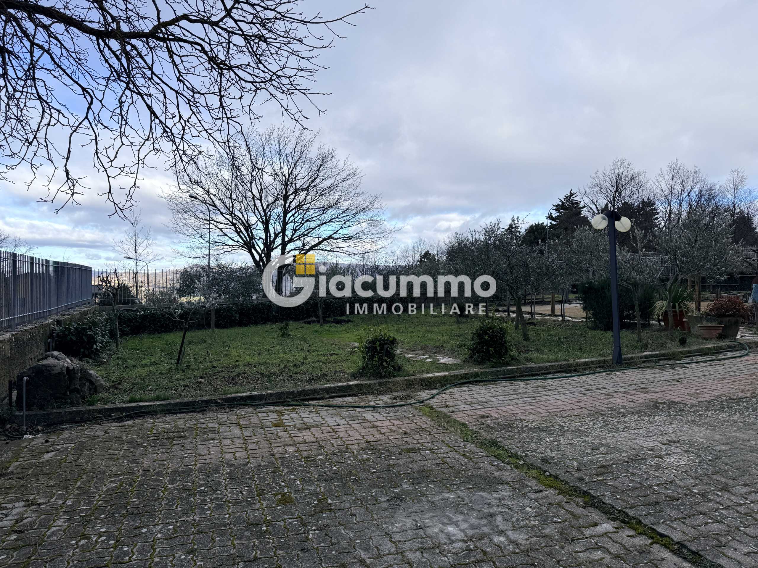  - foto 51