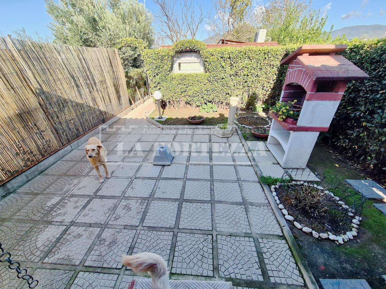  - foto 39