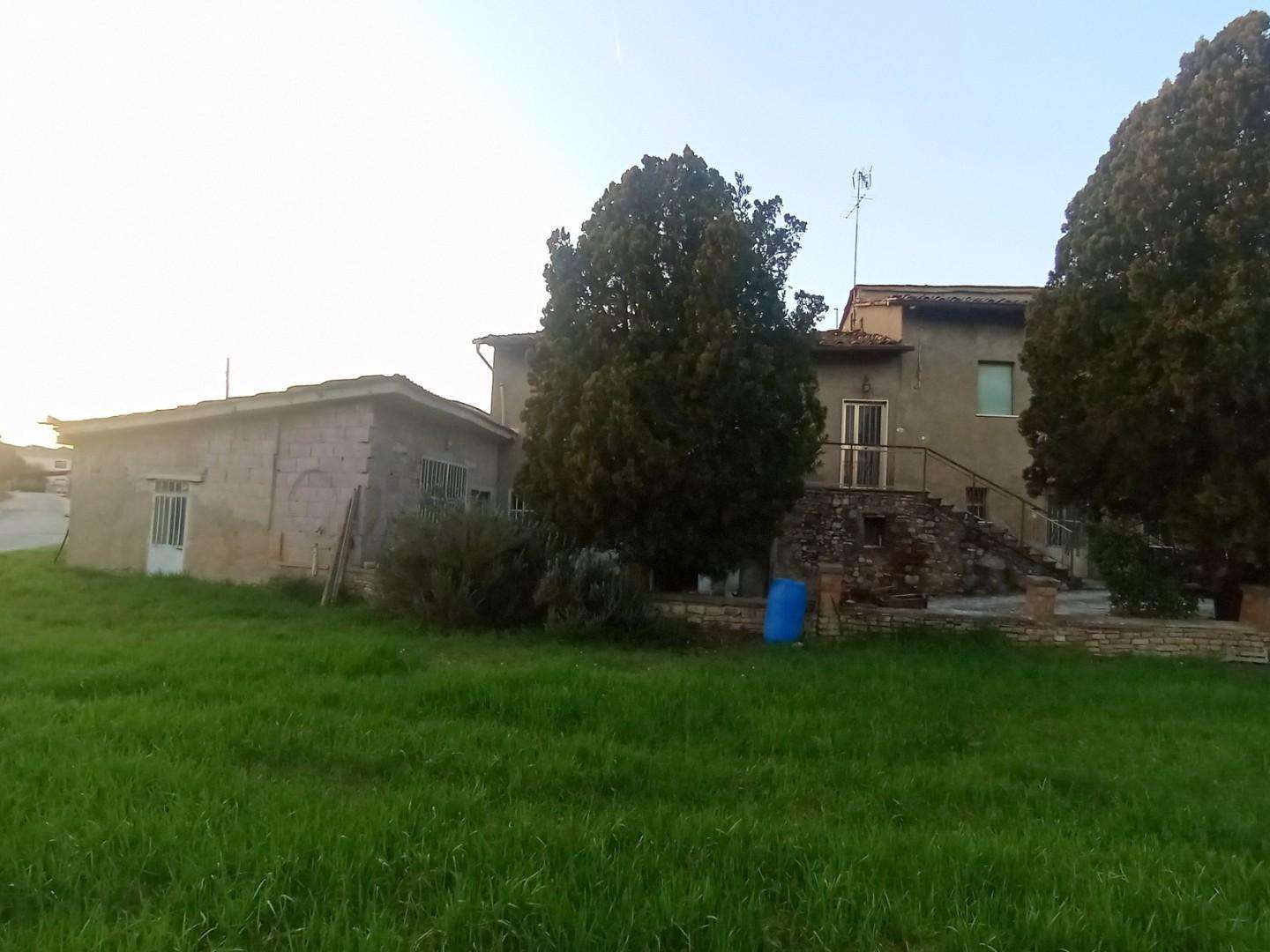  - foto 6