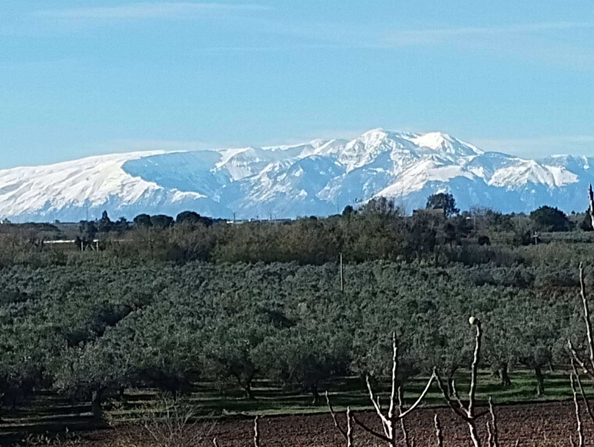  - foto 4