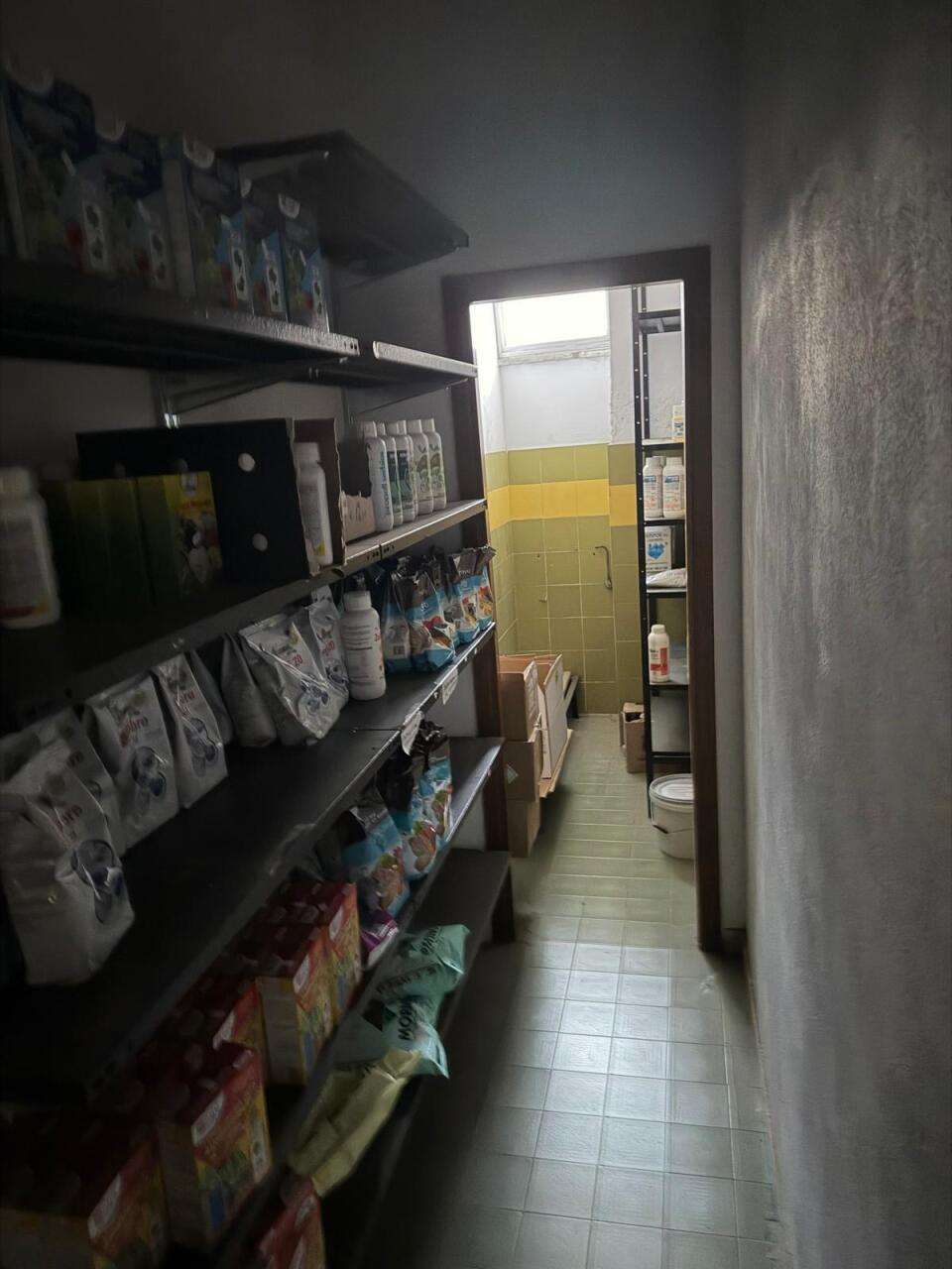  - foto 10