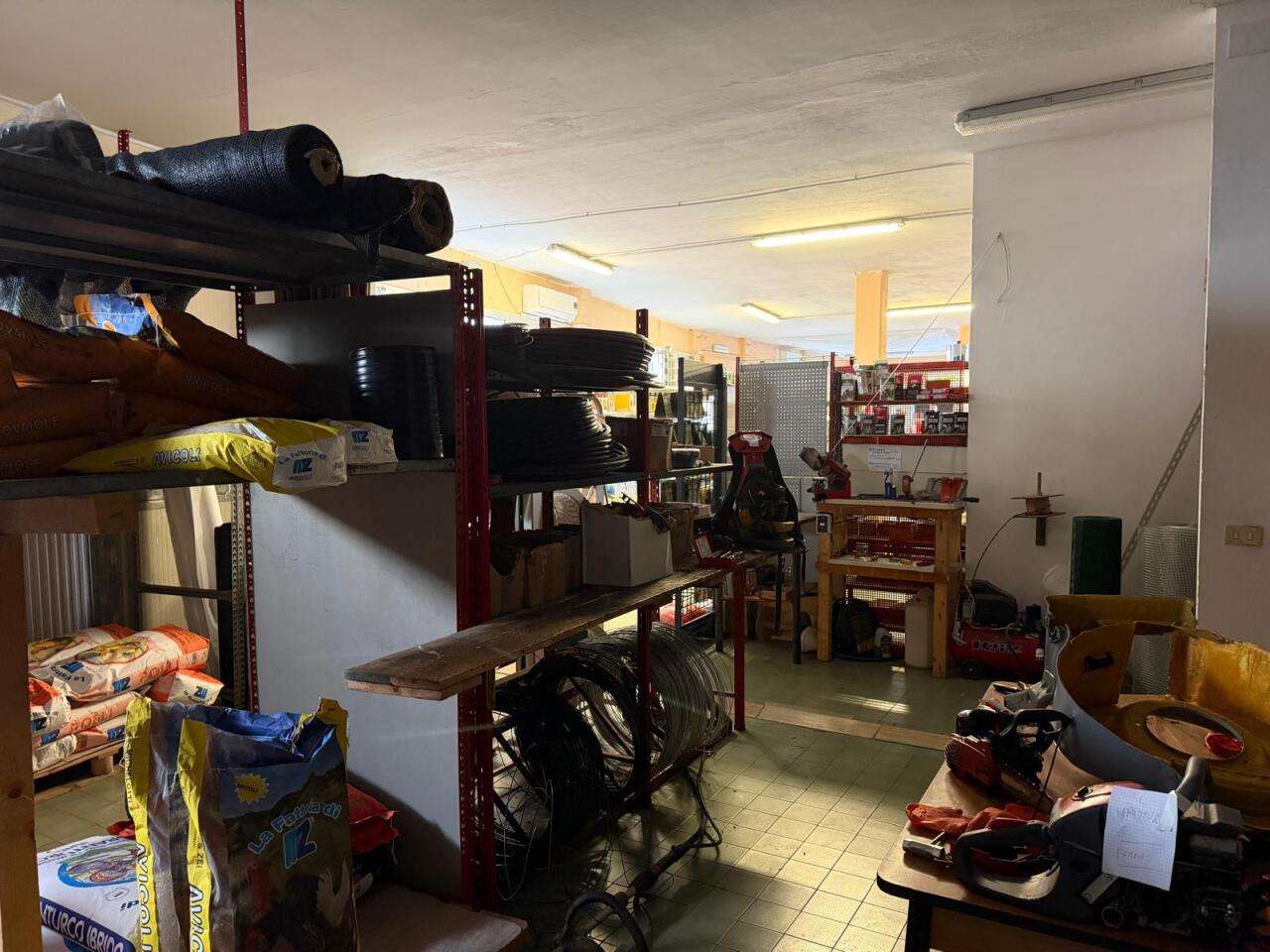  - foto 4