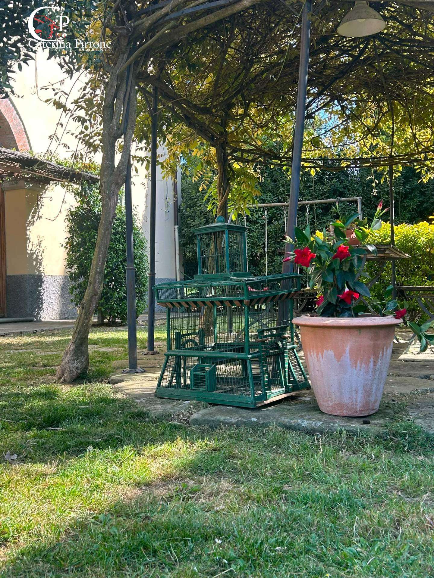  - foto 12