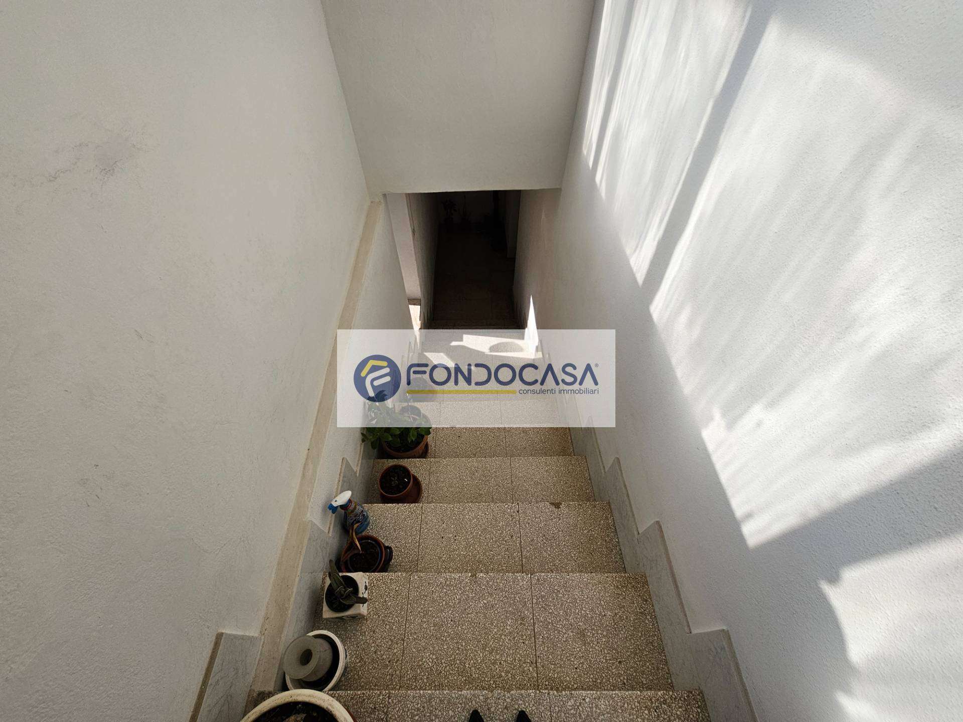  - foto 33