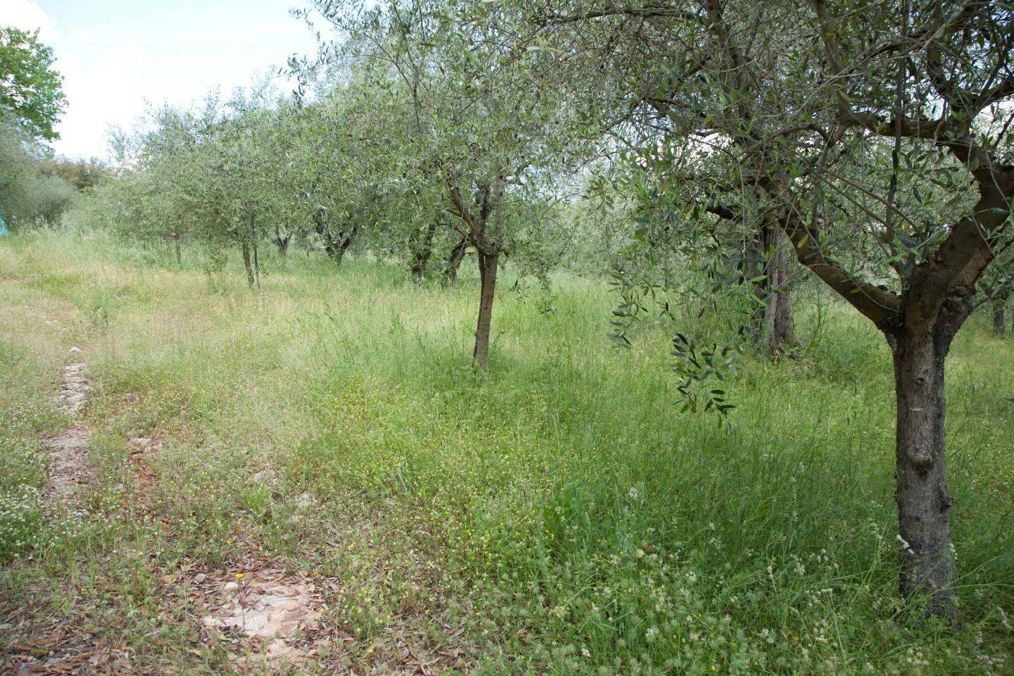  - foto 34