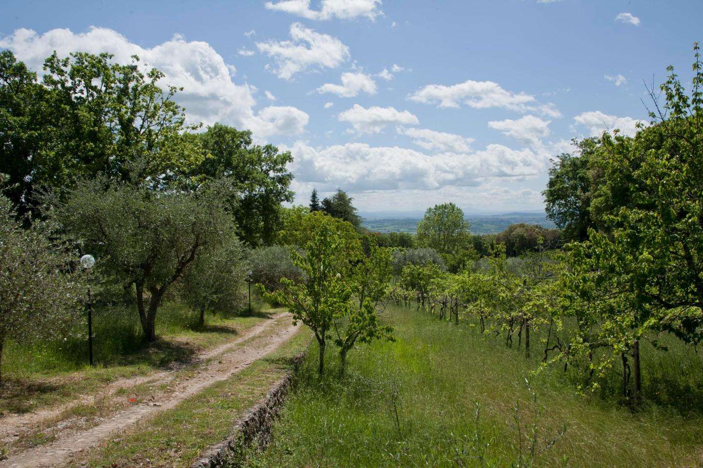  - foto 35
