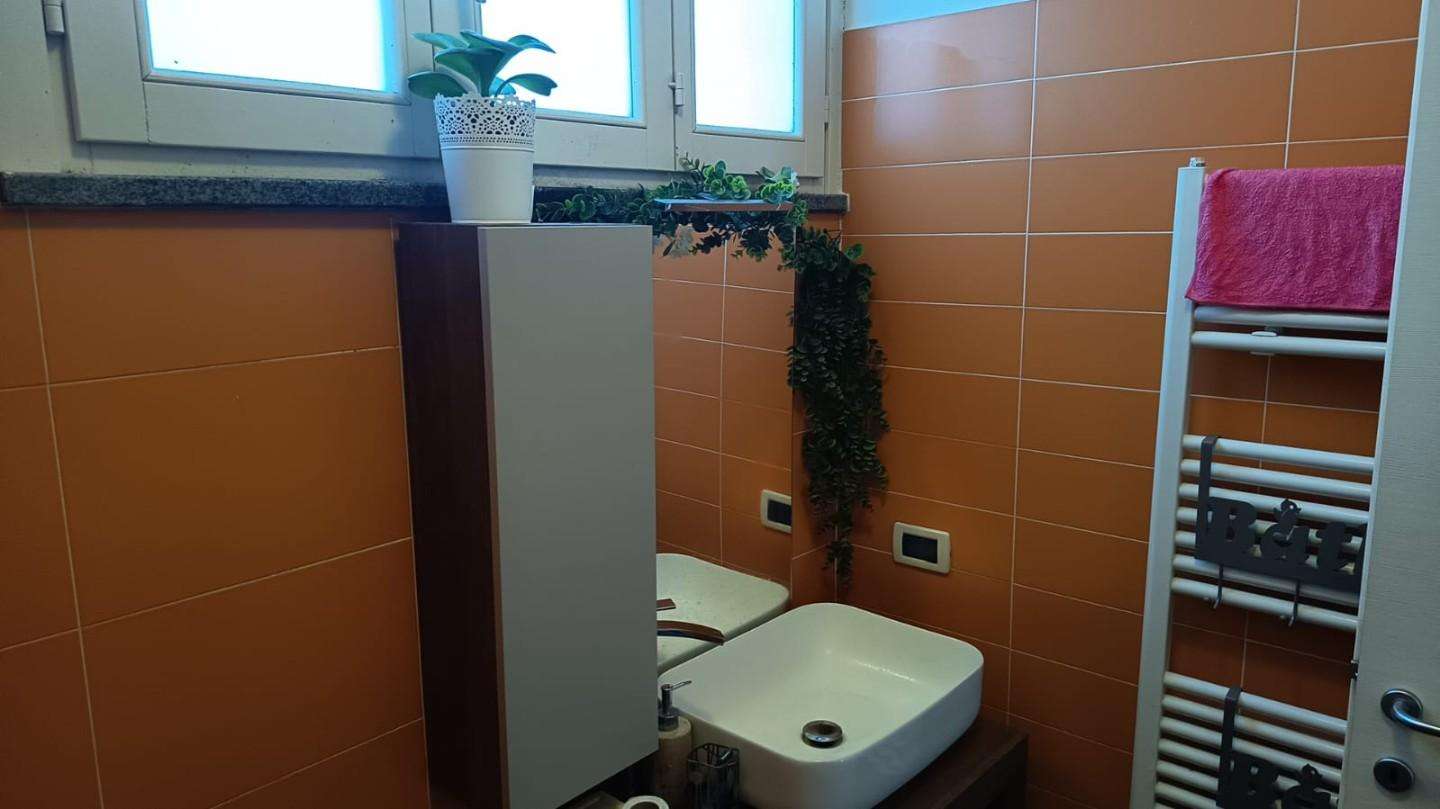  - foto 7