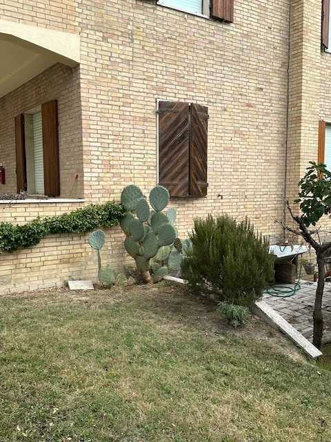  - foto 10