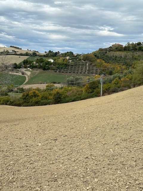  - foto 39