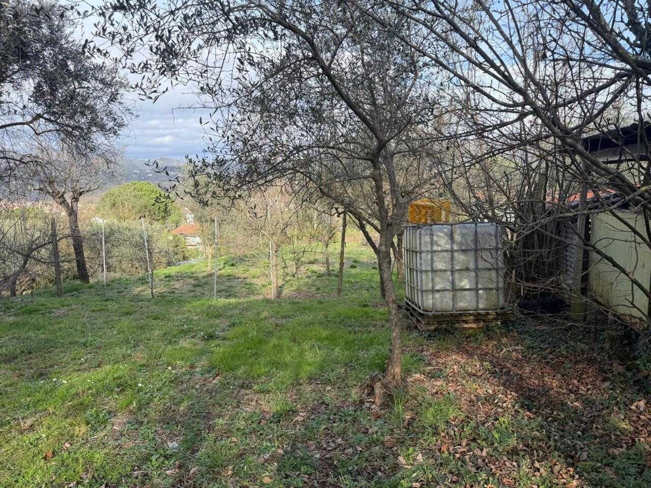  - foto 9