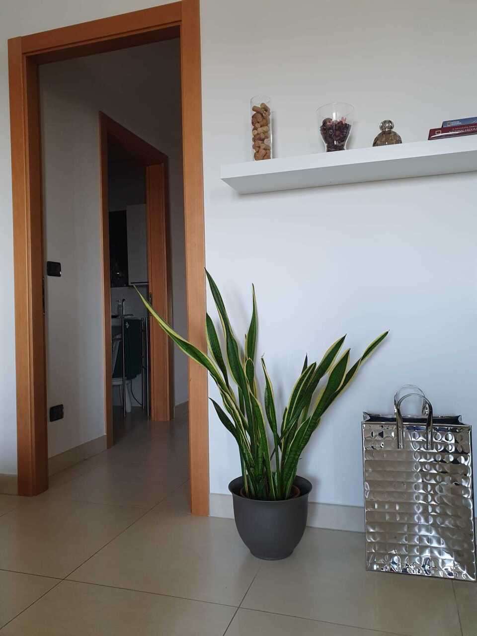  - foto 7