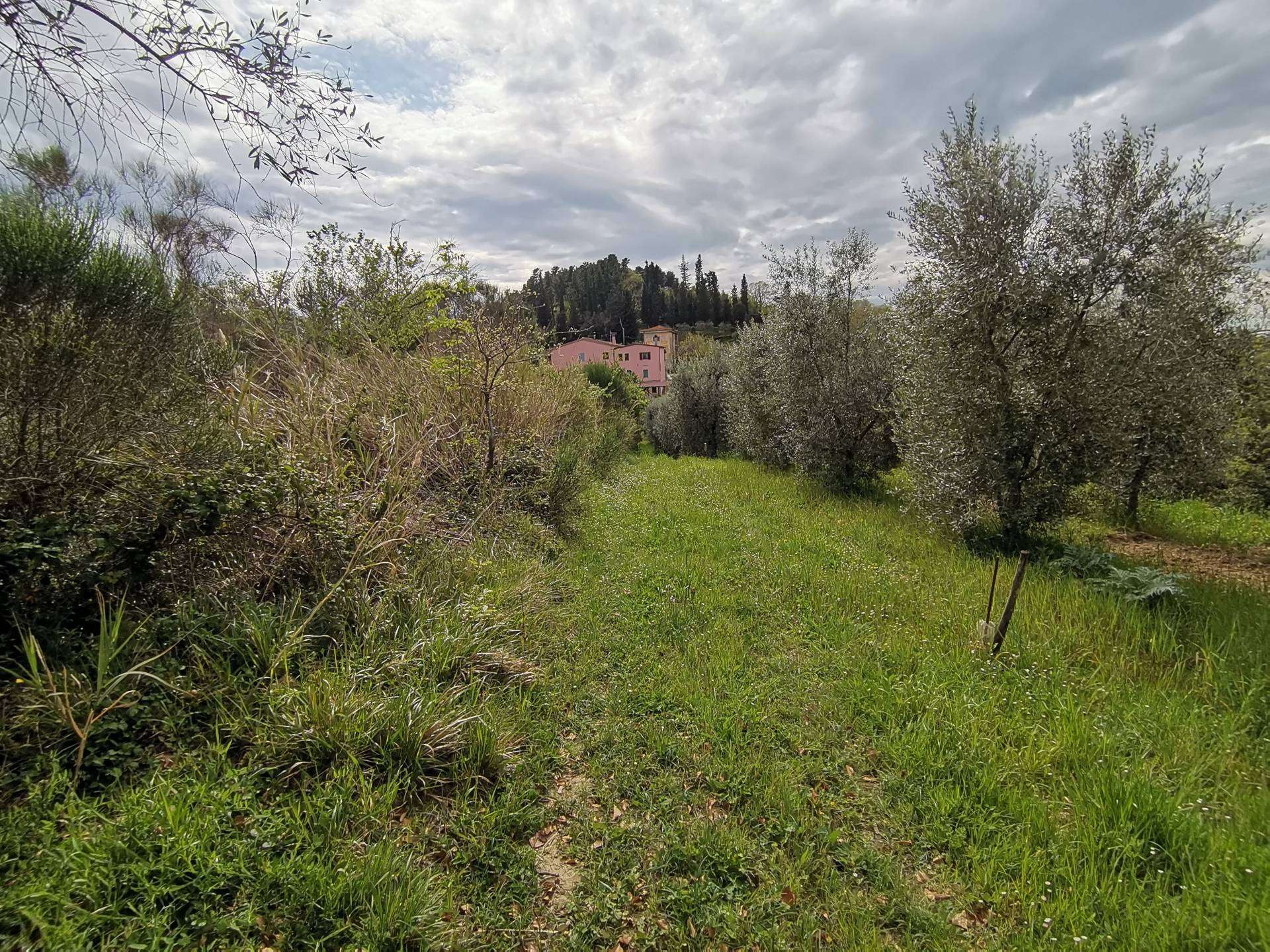  - foto 20