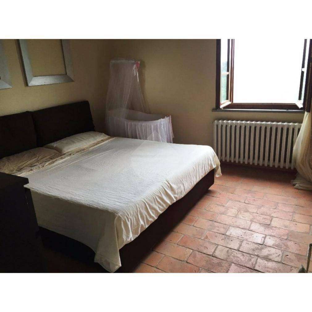  - foto 12