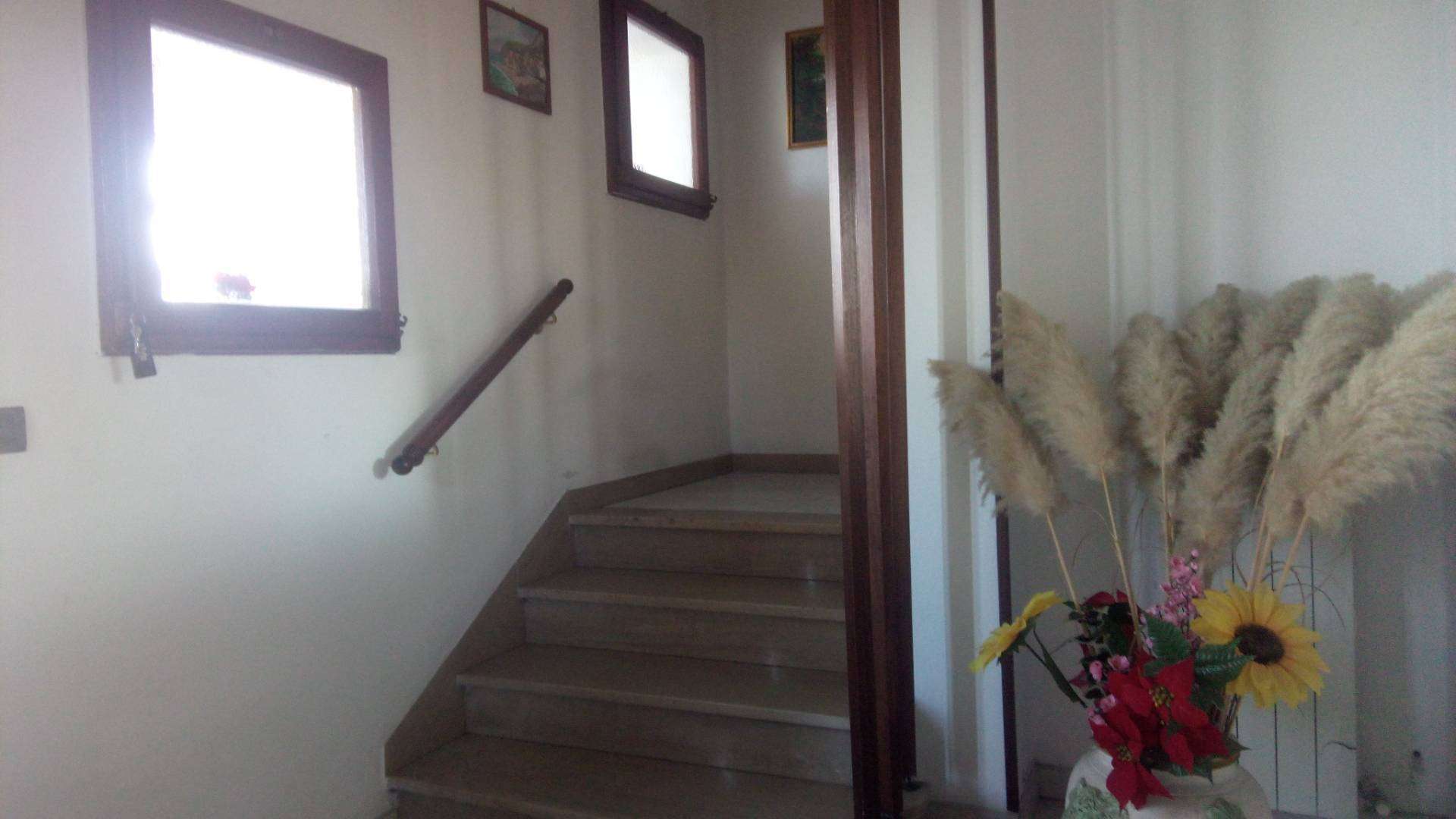  - foto 15