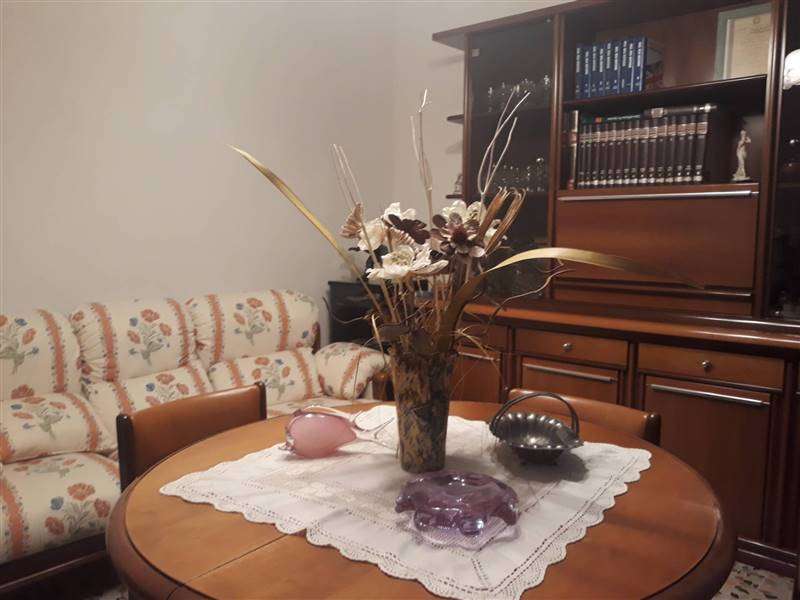  - foto 12