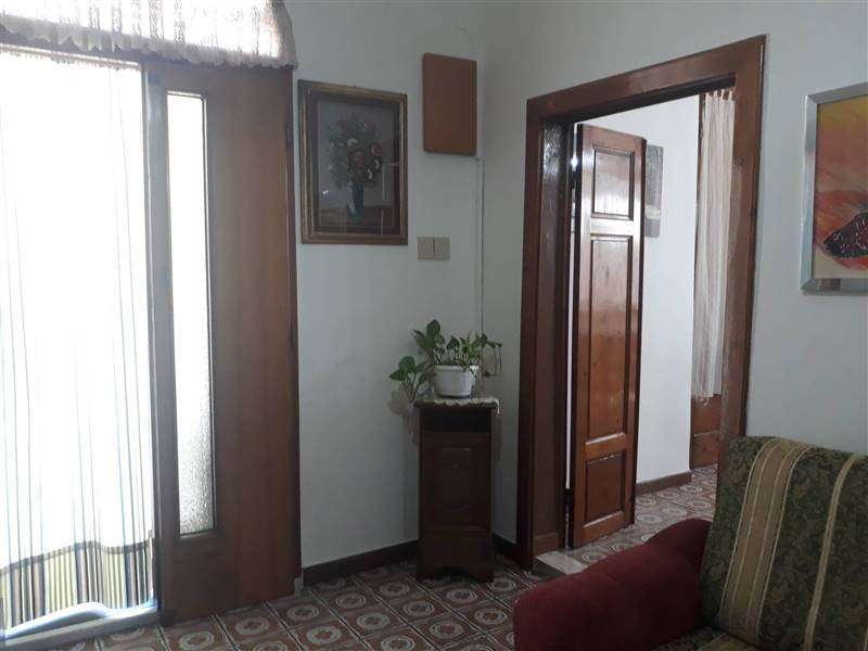  - foto 13