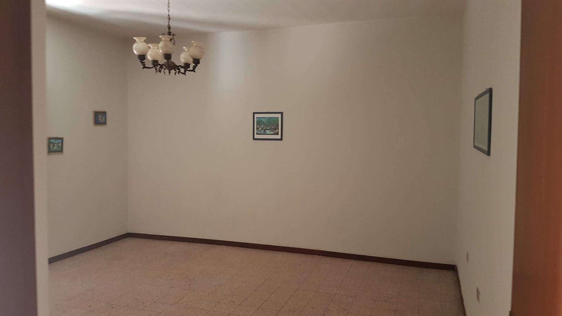  - foto 11