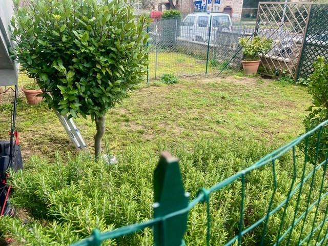  - foto 24