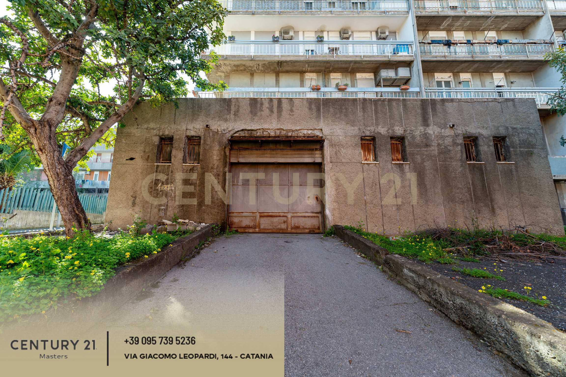  - foto 44