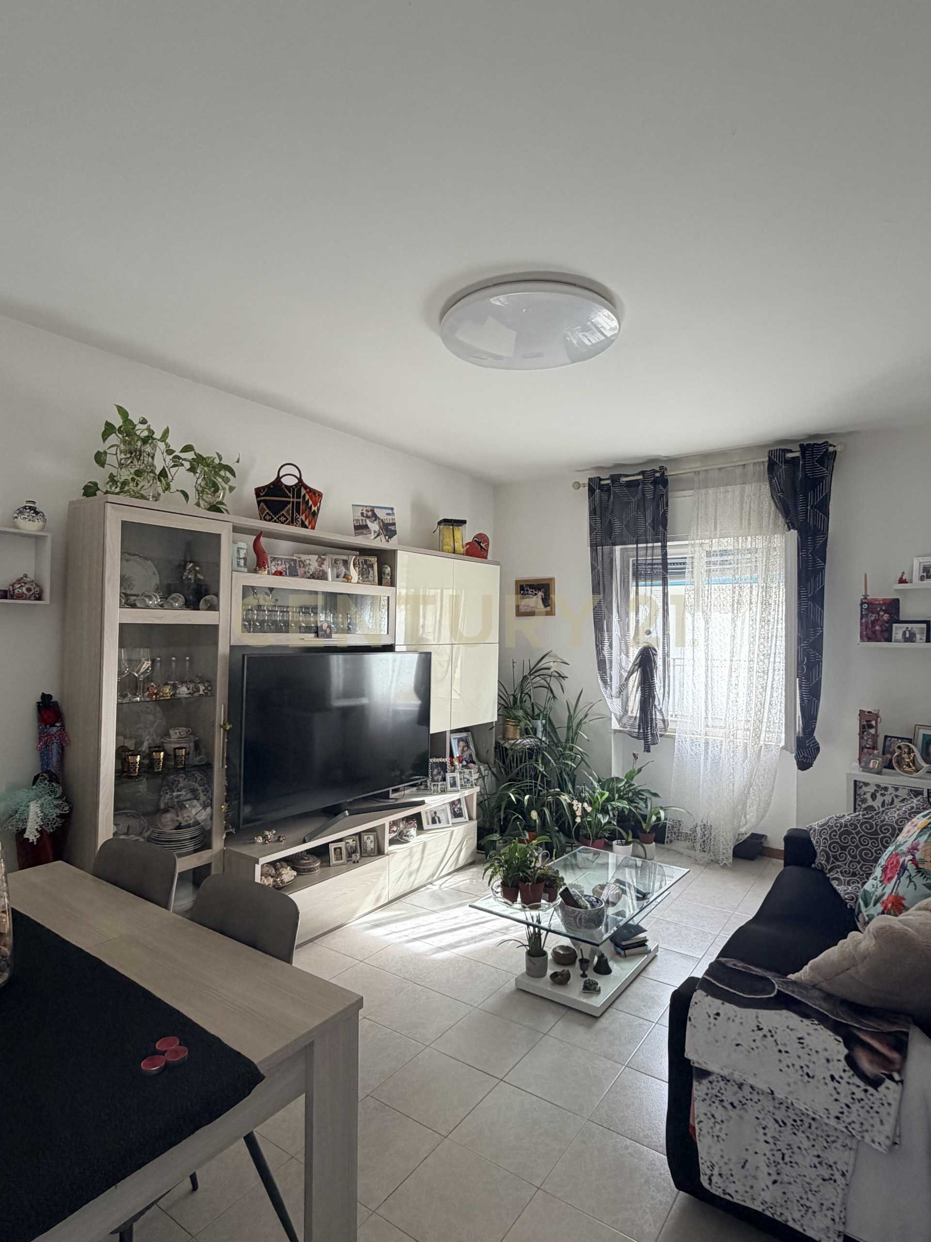  - foto 4