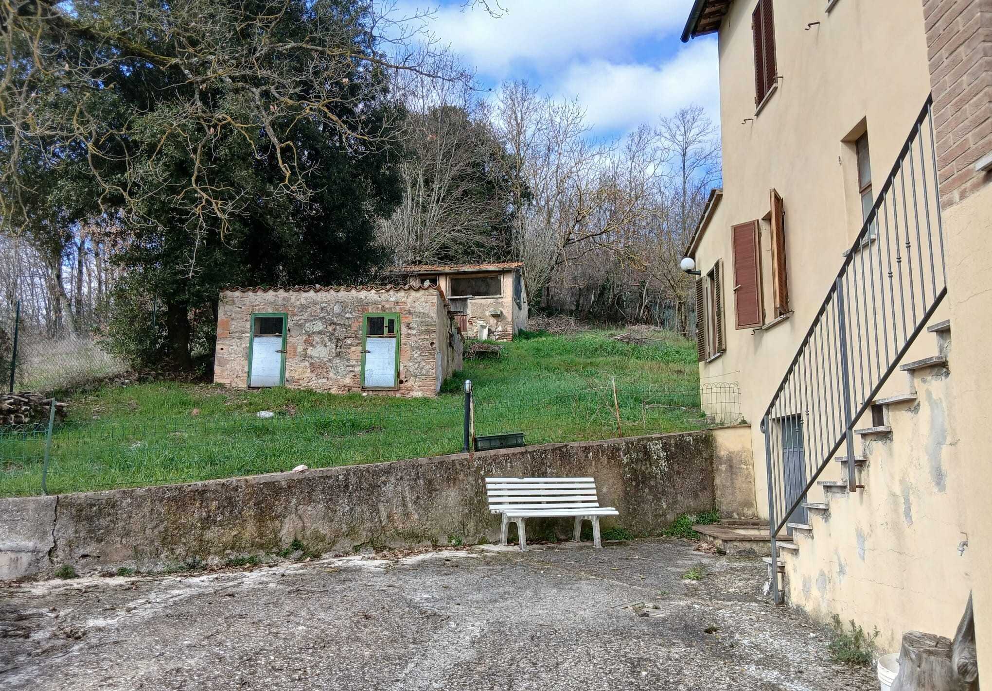 - foto 19