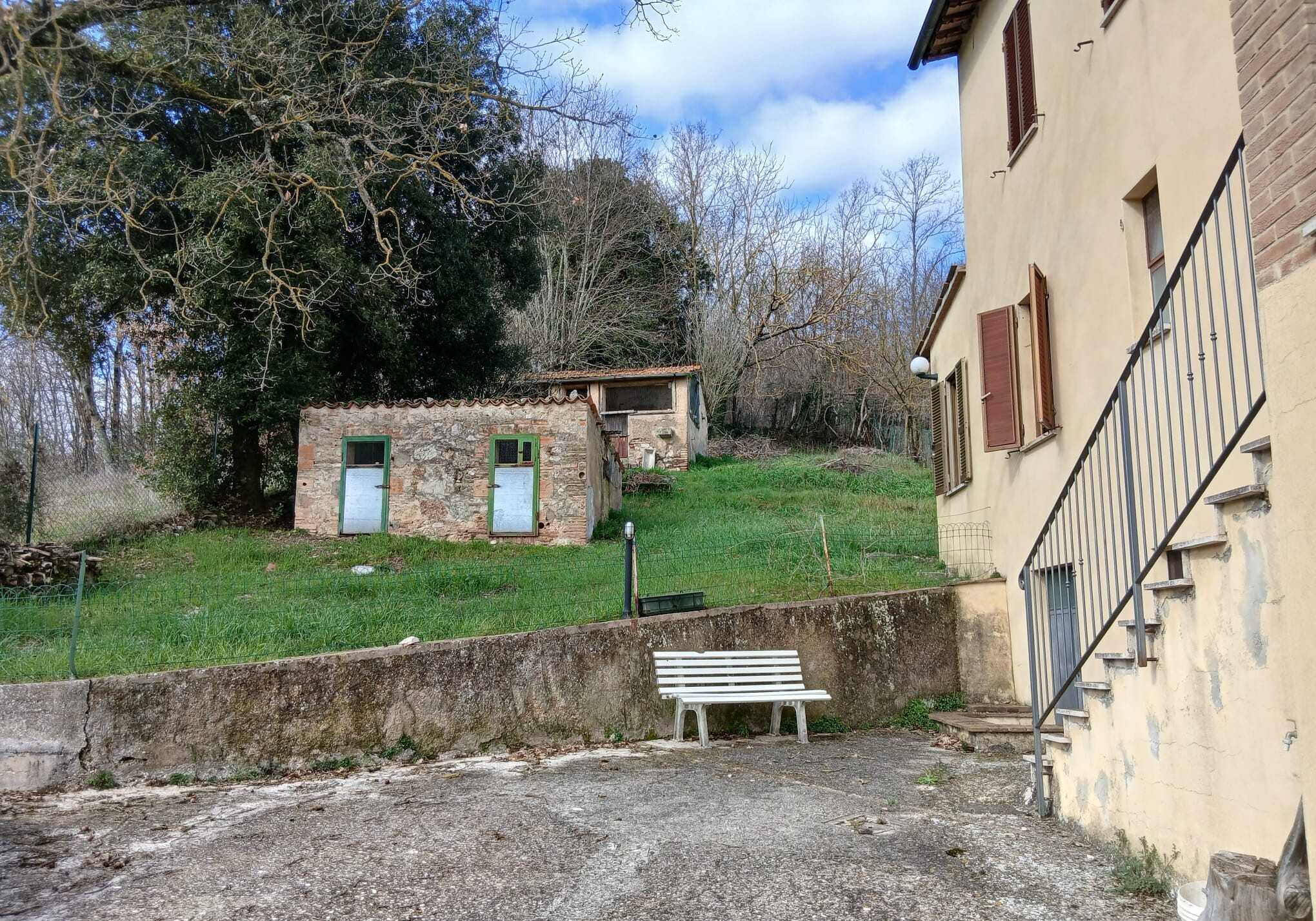  - foto 31