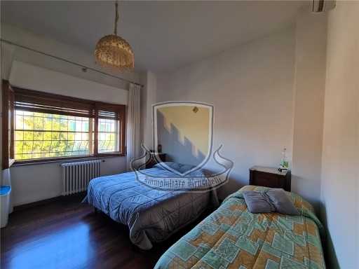  - foto 22