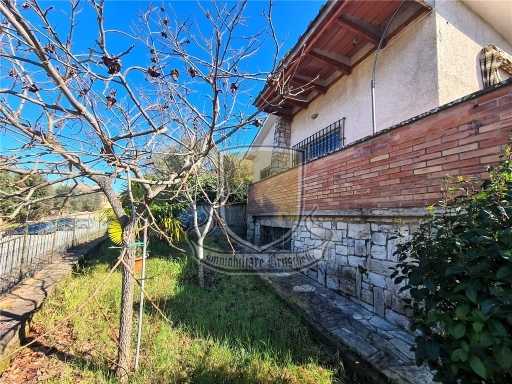  - foto 33