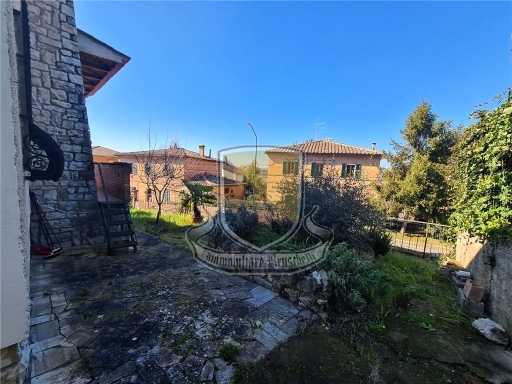  - foto 36